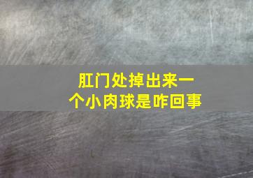 肛门处掉出来一个小肉球是咋回事