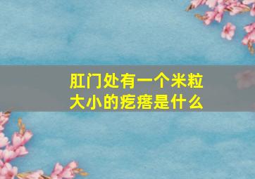 肛门处有一个米粒大小的疙瘩是什么