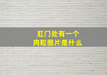 肛门处有一个肉粒图片是什么