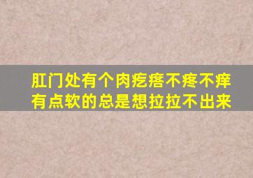 肛门处有个肉疙瘩不疼不痒有点软的总是想拉拉不出来