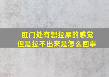 肛门处有想拉屎的感觉但是拉不出来是怎么回事