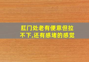 肛门处老有便意但拉不下,还有感堵的感觉