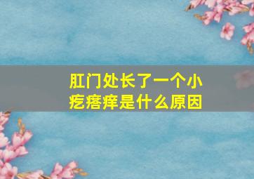 肛门处长了一个小疙瘩痒是什么原因