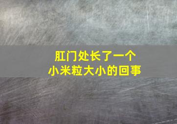 肛门处长了一个小米粒大小的回事