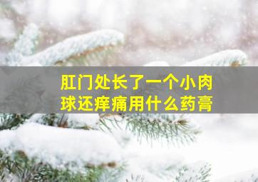 肛门处长了一个小肉球还痒痛用什么药膏