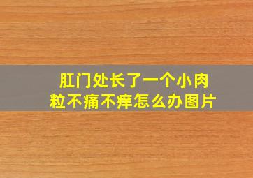 肛门处长了一个小肉粒不痛不痒怎么办图片