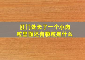 肛门处长了一个小肉粒里面还有颗粒是什么