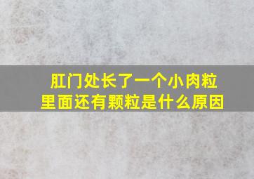 肛门处长了一个小肉粒里面还有颗粒是什么原因