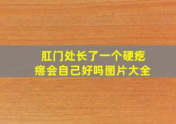 肛门处长了一个硬疙瘩会自己好吗图片大全