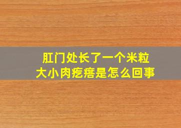 肛门处长了一个米粒大小肉疙瘩是怎么回事