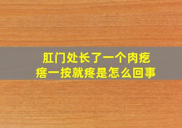 肛门处长了一个肉疙瘩一按就疼是怎么回事