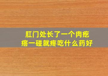 肛门处长了一个肉疙瘩一碰就疼吃什么药好