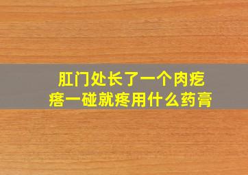 肛门处长了一个肉疙瘩一碰就疼用什么药膏