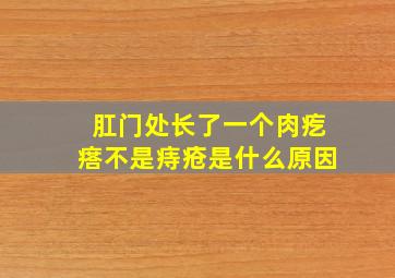 肛门处长了一个肉疙瘩不是痔疮是什么原因