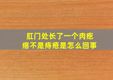 肛门处长了一个肉疙瘩不是痔疮是怎么回事