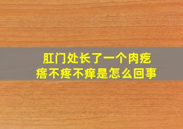 肛门处长了一个肉疙瘩不疼不痒是怎么回事