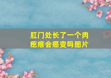 肛门处长了一个肉疙瘩会癌变吗图片