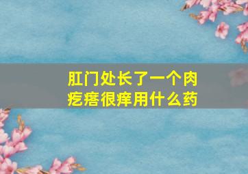 肛门处长了一个肉疙瘩很痒用什么药