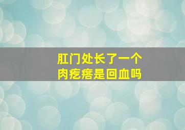 肛门处长了一个肉疙瘩是回血吗