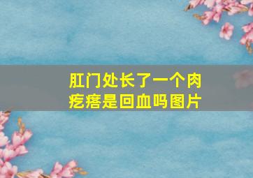 肛门处长了一个肉疙瘩是回血吗图片