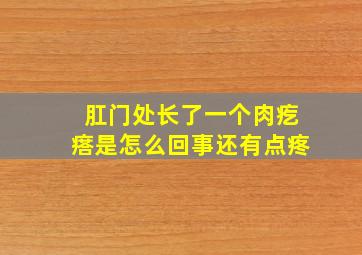 肛门处长了一个肉疙瘩是怎么回事还有点疼