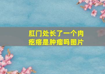 肛门处长了一个肉疙瘩是肿瘤吗图片