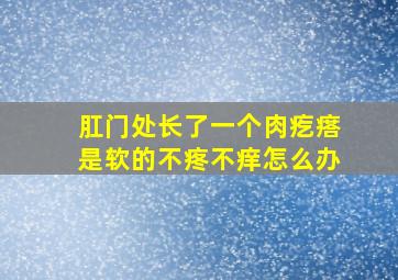 肛门处长了一个肉疙瘩是软的不疼不痒怎么办