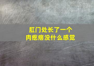 肛门处长了一个肉疙瘩没什么感觉