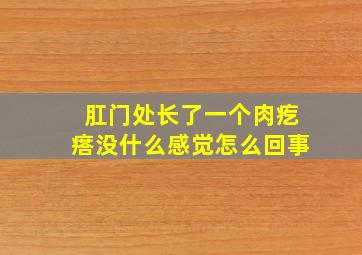 肛门处长了一个肉疙瘩没什么感觉怎么回事