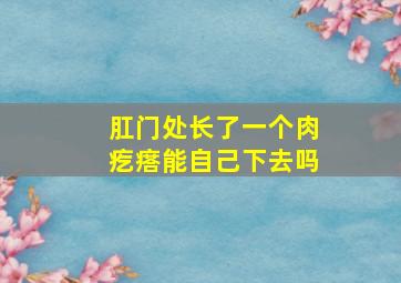 肛门处长了一个肉疙瘩能自己下去吗