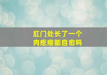 肛门处长了一个肉疙瘩能自愈吗