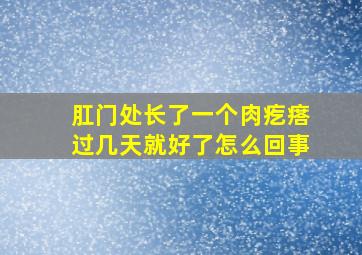 肛门处长了一个肉疙瘩过几天就好了怎么回事