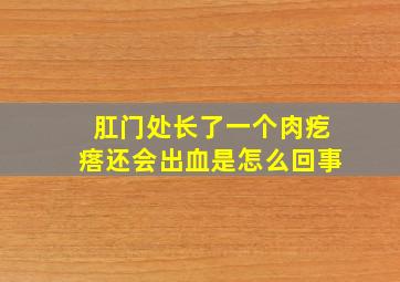 肛门处长了一个肉疙瘩还会出血是怎么回事