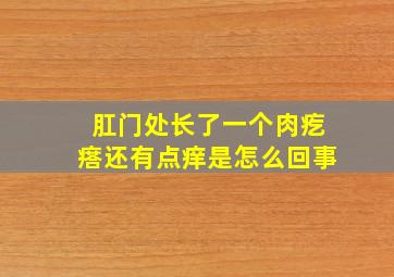 肛门处长了一个肉疙瘩还有点痒是怎么回事