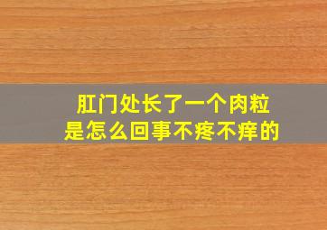 肛门处长了一个肉粒是怎么回事不疼不痒的