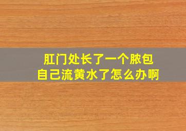 肛门处长了一个脓包自己流黄水了怎么办啊