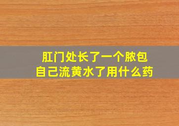 肛门处长了一个脓包自己流黄水了用什么药