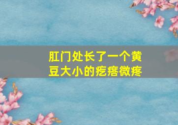 肛门处长了一个黄豆大小的疙瘩微疼