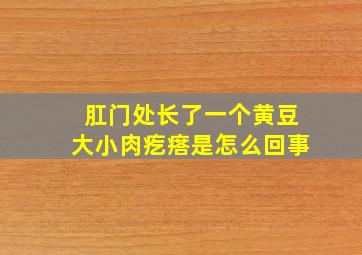 肛门处长了一个黄豆大小肉疙瘩是怎么回事