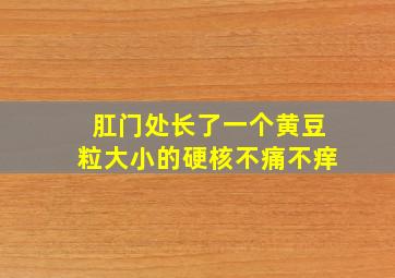 肛门处长了一个黄豆粒大小的硬核不痛不痒