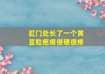 肛门处长了一个黄豆粒疙瘩很硬很疼