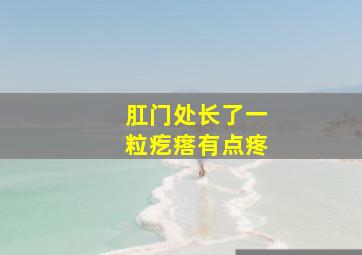 肛门处长了一粒疙瘩有点疼