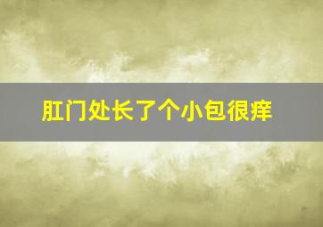 肛门处长了个小包很痒