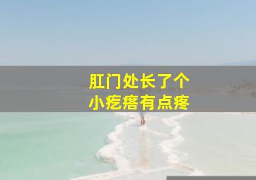 肛门处长了个小疙瘩有点疼