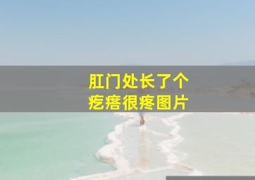 肛门处长了个疙瘩很疼图片