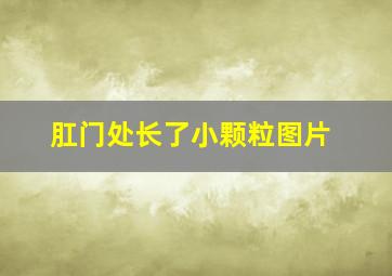 肛门处长了小颗粒图片