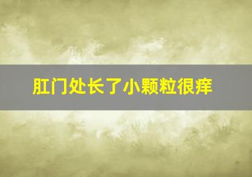 肛门处长了小颗粒很痒