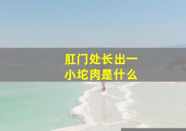 肛门处长出一小坨肉是什么