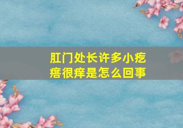 肛门处长许多小疙瘩很痒是怎么回事