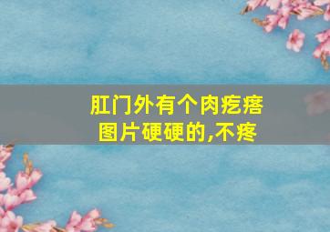 肛门外有个肉疙瘩图片硬硬的,不疼